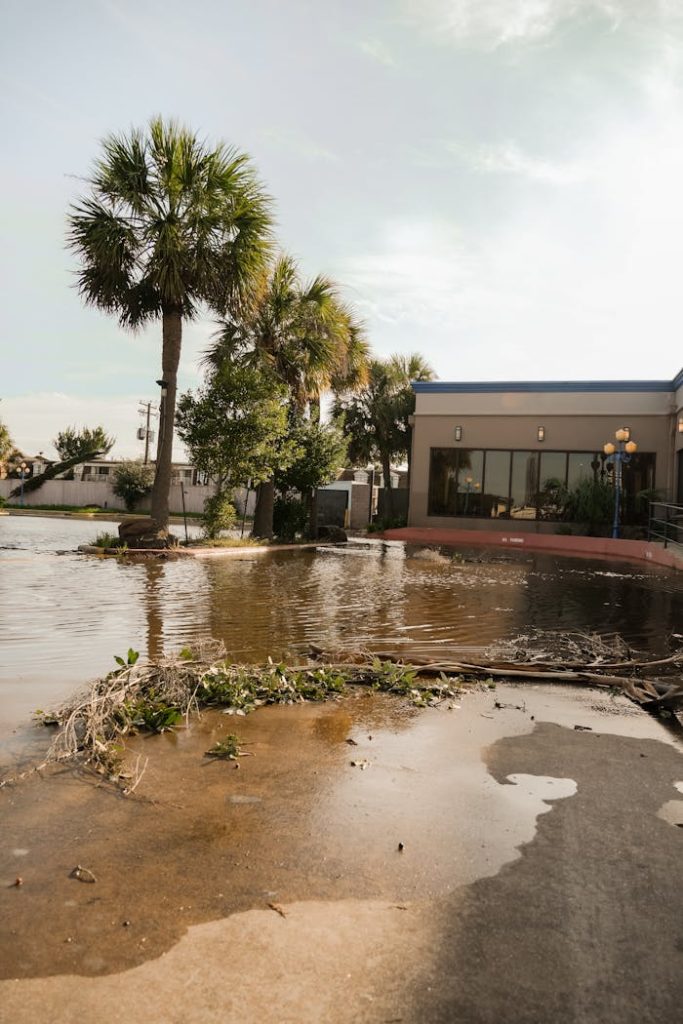 hurricane-beryl-aftermath-27398545 A flooded street in Houston, Texas with palm trees and a building nearby.